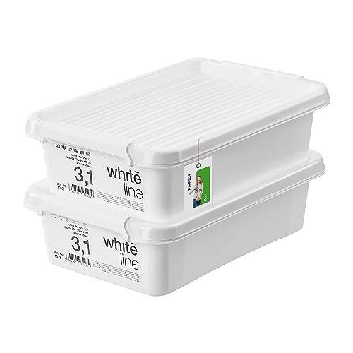PAFEN 2x Aufbewahrungsbox mit Transparent Deckel 3,1L - 30 x 20 x 8 cm - Boxen Aufbewahrung Stapelboxen mit Verschlussclips Kunststoffbehälter Kleiderboxen Organizer | Weiß von PAFEN