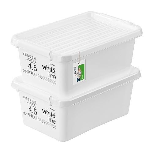 PAFEN 2x Aufbewahrungsbox mit Transparent Deckel 4,5L - 30 x 20 x 12 cm - Boxen Aufbewahrung Stapelboxen mit Verschlussclips Kunststoffbehälter Kleiderboxen Organizer | Weiß von PAFEN