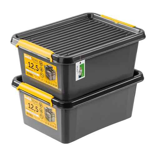 PAFEN 2x Robuster Aufbewahrungsbox 12,5L mit Deckel - 39 x 29 x 16,5 cm - Behälter für besondere Aufgaben Aufbewahrungsbehälter Boxen Aufbewahrung Stapelboxen mit Verschlussclips Kunststoffbehälter von PAFEN