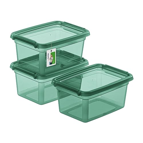 PAFEN 3X Aufbewahrungsbox mit Deckel 1,5L – 19,5 x 14 x 9,5 cm - Boxen Aufbewahrung Stapelboxen mit Verschlussclips Kunststoffbehälter Kleiderboxen Transparent Organizer | Grün von PAFEN