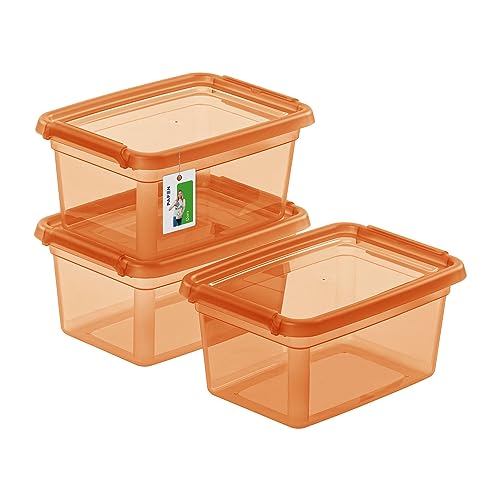 PAFEN 3X Aufbewahrungsbox mit Deckel 1,5L – 19,5 x 14 x 9,5 cm - Boxen Aufbewahrung Stapelboxen mit Verschlussclips Kunststoffbehälter Kleiderboxen Transparent Organizer | Orange von PAFEN