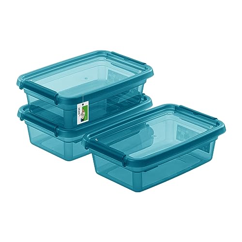 PAFEN 3X Aufbewahrungsbox mit Deckel 3L – 29 x 19,5 x 9 cm - Boxen Aufbewahrung Stapelboxen mit Verschlussclips Kunststoffbehälter Kleiderboxen Transparent Organizer | Farbe Cyan von PAFEN