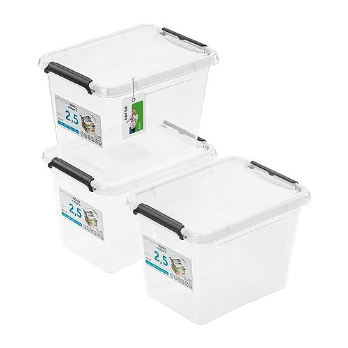 PAFEN 3x Aufbewahrungsbox mit Deckel 2,5L - 19,5 x 15 x 13,5 cm - SET Aufbewahrungsbehälter Transparent Boxen Aufbewahrung Stapelboxen mit Verschlussclips Kunststoffbehälter von PAFEN