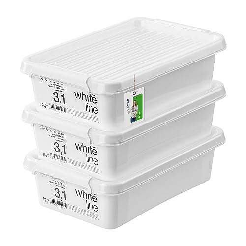 PAFEN 3x Aufbewahrungsbox mit Transparent Deckel 3,1L - 30 x 20 x 8 cm - Boxen Aufbewahrung Stapelboxen mit Verschlussclips Kunststoffbehälter Kleiderboxen Organizer | Weiß von PAFEN