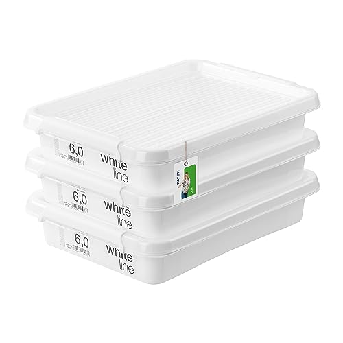 PAFEN 3x Aufbewahrungsbox mit Transparent Deckel 8L - 39 x 30 x 7,5 cm - Boxen Aufbewahrung Stapelboxen mit Verschlussclips Kunststoffbehälter Kleiderboxen Organizer | Weiß von PAFEN