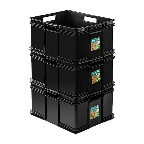 PAFEN 3x Euro Stapelbox 54l - 52,5 x 43 x 28,5 cm - Aufbewahrungsbehälter Euro-box Ecoline Stapelkasten Transport Eurobehälter aus PP, Schwarz Eco von PAFEN