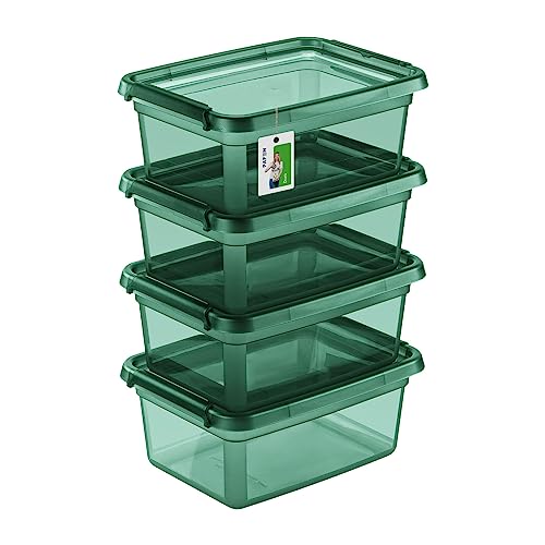 PAFEN 4X Aufbewahrungsbox mit Deckel 12,5L - 38 x 28,5 x 16 cm - Boxen Aufbewahrung Stapelboxen mit Verschlussclips Kunststoffbehälter Kleiderboxen Transparent Organizer | Grün von PAFEN
