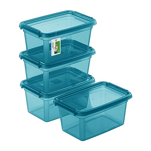 PAFEN 4X Aufbewahrungsbox mit Deckel 3L – 29 x 19,5 x 14 cm - Boxen Aufbewahrung Stapelboxen mit Verschlussclips Kunststoffbehälter Kleiderboxen Transparent Organizer | Farbe Cyan von PAFEN
