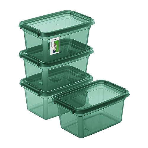 PAFEN 4X Aufbewahrungsbox mit Deckel 3L – 29 x 19,5 x 14 cm - Boxen Aufbewahrung Stapelboxen mit Verschlussclips Kunststoffbehälter Kleiderboxen Transparent Organizer | Grün von PAFEN