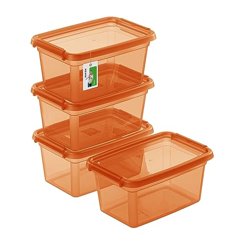 PAFEN 4X Aufbewahrungsbox mit Deckel 3L – 29 x 19,5 x 14 cm - Boxen Aufbewahrung Stapelboxen mit Verschlussclips Kunststoffbehälter Kleiderboxen Transparent Organizer | Orange von PAFEN