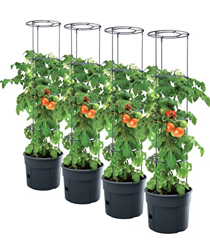 PAFEN 4X Tomatenpflanze Pflanzkübel 18l – 345 x 1270 mm - Tomato Grower Pflanzen Tomate Garten Terrasse von PAFEN