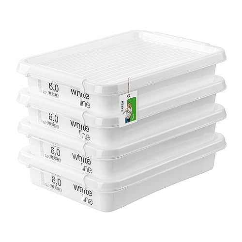 PAFEN 4x Aufbewahrungsbox mit Transparent Deckel 8L - 39 x 30 x 7,5 cm - Boxen Aufbewahrung Stapelboxen mit Verschlussclips Kunststoffbehälter Kleiderboxen Organizer | Weiß von PAFEN