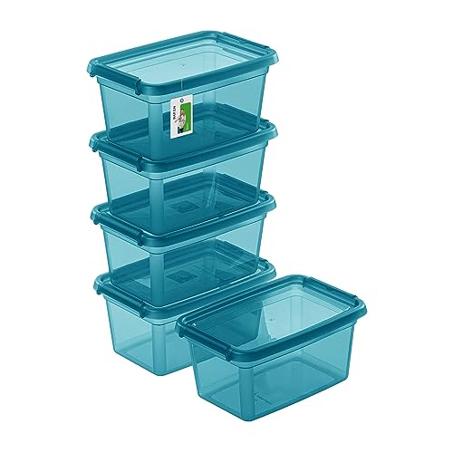 PAFEN 5X Aufbewahrungsbox mit Deckel 3L – 29 x 19,5 x 14 cm - Boxen Aufbewahrung Stapelboxen mit Verschlussclips Kunststoffbehälter Kleiderboxen Transparent Organizer | Farbe Cyan von PAFEN