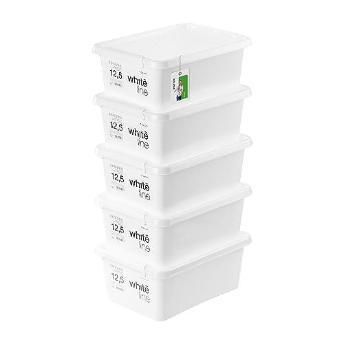 PAFEN 5x Aufbewahrungsbox mit Transparent Deckel 12,5L - 40 x 30 x 16,5 cm - Boxen Aufbewahrung Stapelboxen mit Verschlussclips Kunststoffbehälter Kleiderboxen Organizer | Weiß PAFEN 5x Aufbewahrungsbox mit Transparent Deckel 12,5L - 40 x 30 x 16,5 cm - Boxen Aufbewahrung Stapelboxen mit Verschlussclips Kunststoffbehälter Kleiderboxen Organizer | Weiß von PAFEN
