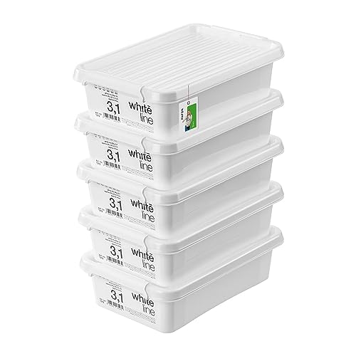 PAFEN 5x Aufbewahrungsbox mit Transparent Deckel 3,1L - 30 x 20 x 8 cm - Boxen Aufbewahrung Stapelboxen mit Verschlussclips Kunststoffbehälter Kleiderboxen Organizer | Weiß von PAFEN