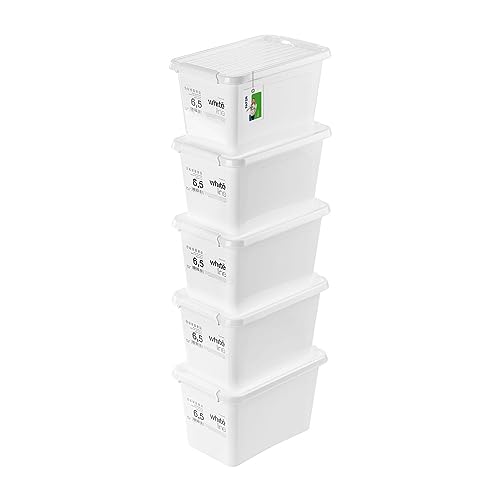 PAFEN 5x Aufbewahrungsbox mit Transparent Deckel 6,5L - 30 x 20 x 18 cm - Boxen Aufbewahrung Stapelboxen mit Verschlussclips Kunststoffbehälter Kleiderboxen Organizer | Weiß von PAFEN