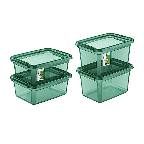 PAFEN Aufbewahrungsbox mit Deckel SET 2 Größen 2x 12,5L + 2x 15L - Boxen Aufbewahrung Stapelboxen mit Verschlussclips Kunststoffbehälter Kleiderboxen Transparent Organizer | Grün von PAFEN