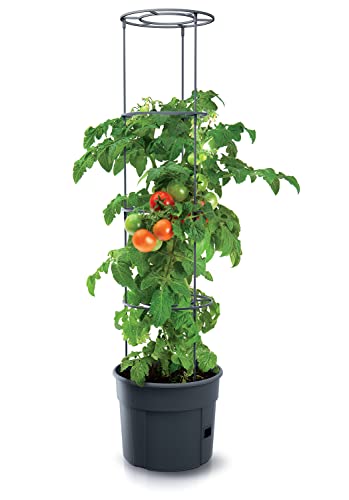 PAFEN Tomatenpflanze Pflanzkübel mit Schutzfolie - 392 x 1530 mm - Tomato Grower Pflanzen Tomate Garten Terrasse Pflanzenschutzfolie von PAFEN