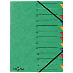 PAGNA Easy Ordnungsmappe 24131-03 DIN A4 Karton Gummiband 24 (B) x 0,5 (T) x 32 (H) cm Grün von PAGNA