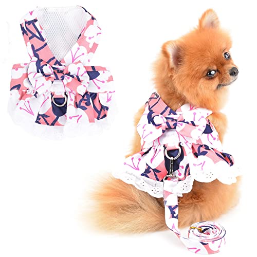 PAIDEFUL Hund Kleider Geschirr und Leine Set Kostüm Blumenschleife Katzen Hund Sommerkleid für kleine Haustiere Mädchen weiche Hundekleidung, Rosa, S von PAIDEFUL