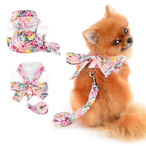 PAIDEFUL Hundegeschirr für kleine Hunde, gepunktet, florales Schleife mit Leine, Set, kein Ziehen, verstellbar, Hundekleidung, weich, bequem, Katzen kostüm, Rosa, XL von PAIDEFUL