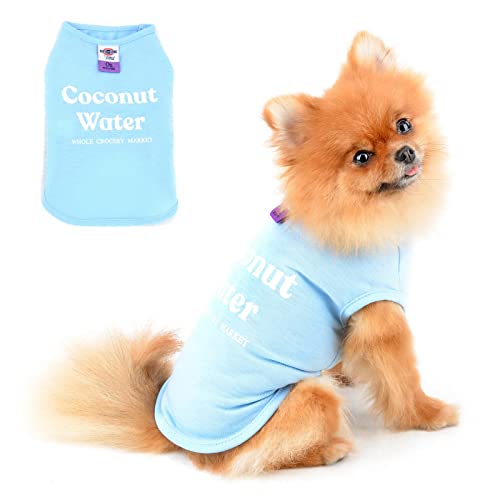 PAIDEFUL Hundehemd für Kleine Mittelgroße Hunde Katzen Jungen Mädchen Einfarbige Weiche Baumwolle T-Shirts Welpen Chihuahua Yorkie Haustier Kleidung Sommer Outdoor Blau XL von PAIDEFUL