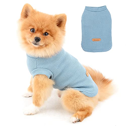 PAIDEFUL Hundehemden für Kleine Mittelgroße Hunde Katzen Jungen Mädchen Einfarbige Weiche Baumwollweste T-Shirts Sommer Ärmellose Atmungsaktive Tee Welpe Chihuahua Yorkie Kleidung Haustier Blau XXL von PAIDEFUL