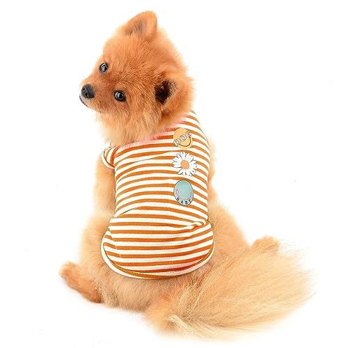 PAIDEFUL Streifen Hund Hemden für Kleine Mittlere Hunde Katzen Weiche Baumwolle Weste T-Shirts Seeveless Atmungsaktive Welpen Mädchen Jungen Chihuahua Kleidung Haustier Sommer Tragen Outdoor OrangeXXL von PAIDEFUL