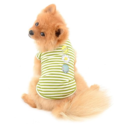 PAIDEFUL Streifen Hund Hemden für Kleine Mittlere Hunde Katzen Weiche Baumwolle Weste T-Shirts Seeveless Atmungsaktive Welpen Mädchen Jungen Chihuahua Kleidung Haustier Sommer Tragen Outdoor Grün XXL PAIDEFUL Streifen Hund Hemden für Kleine Mittlere Hunde Katzen Weiche Baumwolle Weste T-Shirts Seeveless Atmungsaktive Welpen Mädchen Jungen Chihuahua Kleidung Haustier Sommer Tragen Outdoor Grün XXL von PAIDEFUL