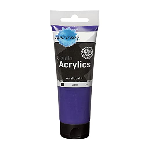 PAINT IT EASY NEU Studio Acrylfarbe, Akademie Qualität, 250 ml, Violett von PAINT IT EASY