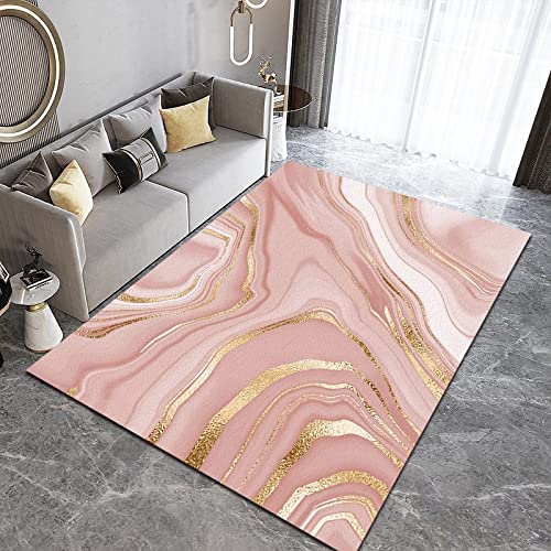 PAJEON Mode Licht Luxus Farbverlauf Rosa Gold Gestreift Teppiche, 120 x 170 cm Maschinengewebt Flachgewebter Teppich - für Wohnzimmer, Kinderzimmer, Schlafzimmer und die Küche von PAJEON