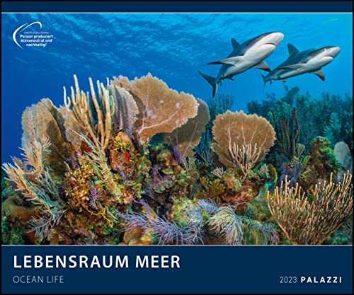 Lebensraum Meer 2023 - Bild-Kalender - Poster-Kalender - 60x50: Ocean Life Lebensraum Meer 2023 - Bild-Kalender - Poster-Kalender - 60x50: Ocean Life von PALAZZI Kalender GmbH