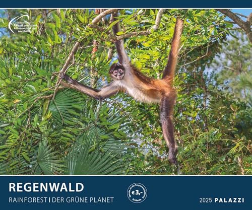 Regenwald 2025 - Bild-Kalender - Poster-Kalender - 60x50: Rainforest von PALAZZI