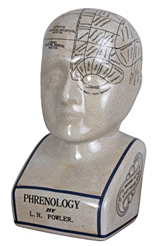 Phrenology Kopf Fowler Büste Skulptur Figur Anatomie Medizin Keramik Vintage FID042 Palazzo Exklusiv von PALAZZO INT