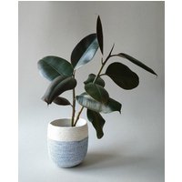 Handgefertigter Pflanzentopf Aus Baumwollseil von PALEOLOCHIC