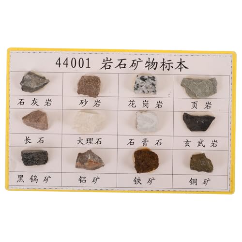 PAMINGONO 12 Stck. Teiliges Mineral Gesteinsproben mit deutlichen Merkmalen Tragbar und Kompakt für Sammlung Ausstellung und Geologieunterricht im Klassenzimmer oder Labor von PAMINGONO