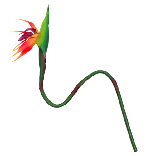 PAMINGONO Künstliche Strelitzia Reginae Blume Dekoration Langlebig Naturgetreu DIY Geeignet für Wohnzimmer Büro Tisch Elegant Tropisch Realistisch PAMINGONO Künstliche Strelitzia Reginae Blume Dekoration Langlebig Naturgetreu DIY Geeignet für Wohnzimmer Büro Tisch Elegant Tropisch Realistisch von PAMINGONO