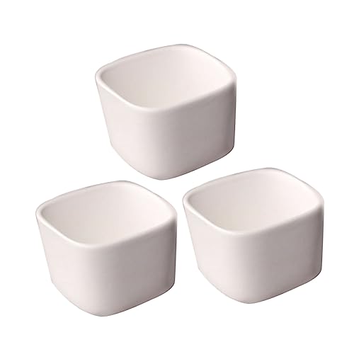 PAMINGONO 3er Set Miniweiße Pflanzentöpfe Quadratische Blumentöpfe Für Sukkulenten Ideal Für Tischdekoration Kleine Pflanzen Und Kräuter Im Modernen Stil von PAMINGONO