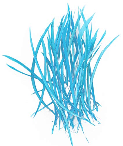PANAX Echte Gänsefedern Dünn und lang/ 100 stück ca. 10-15cm Blau von PANAX