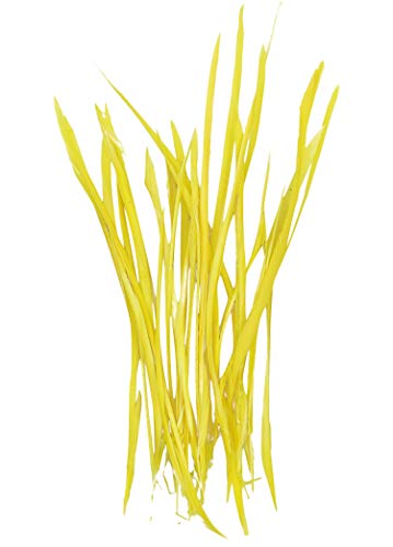 PANAX Echte Gänsefedern Dünn und lang/ 100 stück ca. 10-15cm Gelb von PANAX