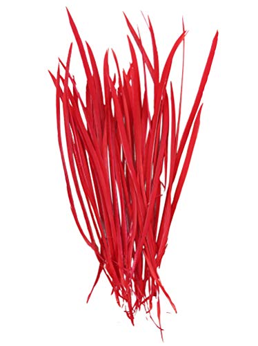 PANAX Echte Gänsefedern Dünn und lang/ 100 stück ca. 10-15cm Rot von PANAX