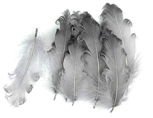 PANAX Natur Dekoration Gänsefedern lockig Federn ca. 12-18cm Federnlänge Grau von PANAX