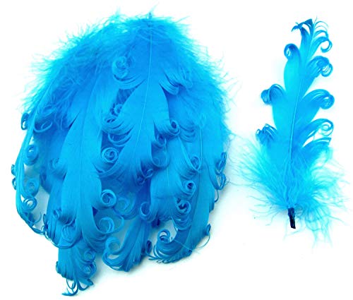 PANAX Natur Dekoration Gänsefedern lockig Federn ca. 12-18cm Federnlänge Hellblau von PANAX