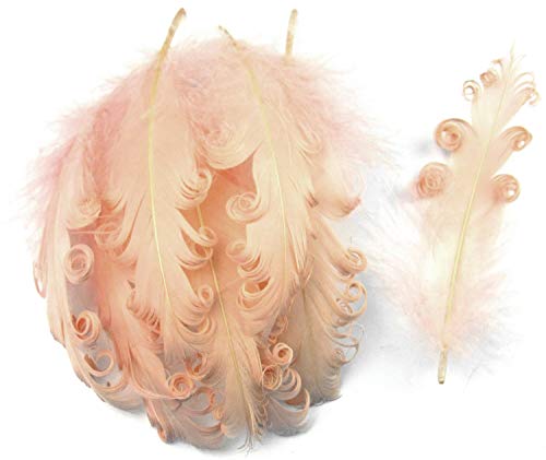 PANAX Natur Dekoration Gänsefedern lockig Federn ca. 12-18cm Federnlänge Rpink von PANAX