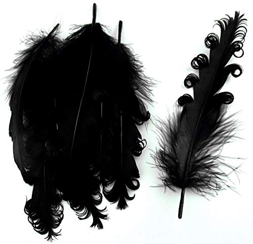 PANAX Natur Dekoration Gänsefedern lockig Federn ca. 12-18cm Federnlänge Schwarz von PANAX