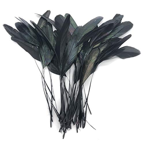 PANAX dünn Hahnfedern 100 stück, Federn Länge circa 15-20cm Schwarz von PANAX