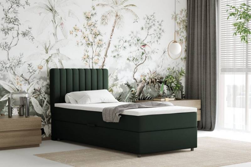 PANDA MÖBEL GmbH Boxspringbett EVEREST – Komfortables Einzelbett mit Bettkasten, Bestseller 2025 PANDA MÖBEL GmbH Boxspringbett EVEREST – Komfortables Einzelbett mit Bettkasten, Bestseller 2025 von PANDA MÖBEL GmbH