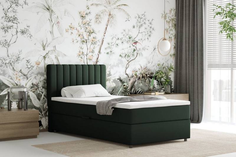 PANDA MÖBEL GmbH Boxbett EVEREST – Komfortables Einzelbett mit Bettkasten, Bestseller 2025 PANDA MÖBEL GmbH Boxbett EVEREST – Komfortables Einzelbett mit Bettkasten, Bestseller 2025 von PANDA MÖBEL GmbH