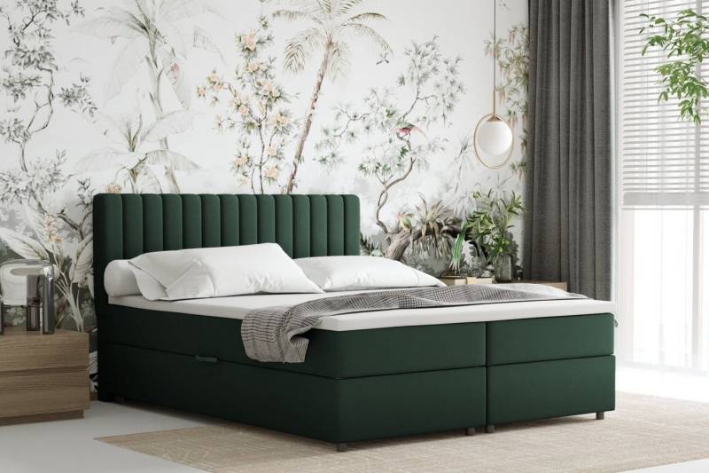 PANDA MÖBEL GmbH Boxbett EVEREST – Komfortables Doppelbett mit Bettkasten, Bestseller 2025 von PANDA MÖBEL GmbH