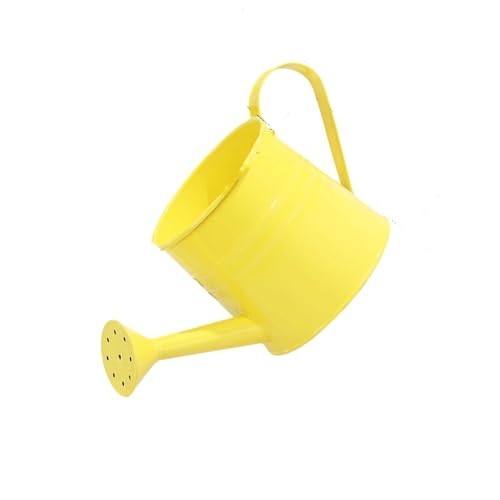 Gießkanne aus Metall für Pflanzen für drinnen und draußen, Hochzeit, Gartenarbeit, mit ergonomischem Griff, Indoor-Gärtnerei, Gießkanne von PANGBOER